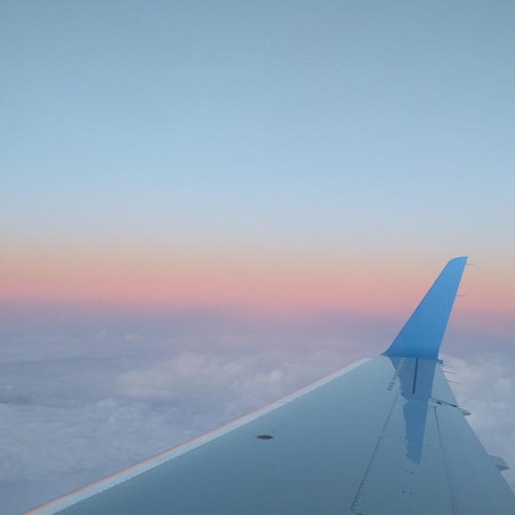 Meet your Posher, Giselle - Picture 4 of 5